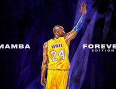 开云体育app-轰鸣中的救赎，F1决赛夜，皮克在虚拟赛道赢回尊严