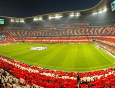 开云体育下载-温网，当独狼在草地上险胜群狼