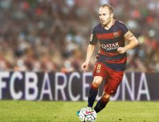 开云体育入口-中国队力克法国队显王者风范，张本智和孤勇扛旗虽败犹荣