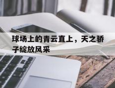 开云平台-球场上的青云直上，天之骄子绽放风采的简单介绍