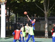 开云体育APP下载-本土球员联袂护航，殊荣再续光照丝毫不逊色