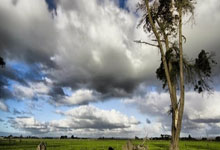 开云下载-教练出手就摆谱！南安普敦主场横扫直落三球的简单介绍