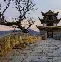 开云体育-云南巫神外援展现实力，带队夺魁