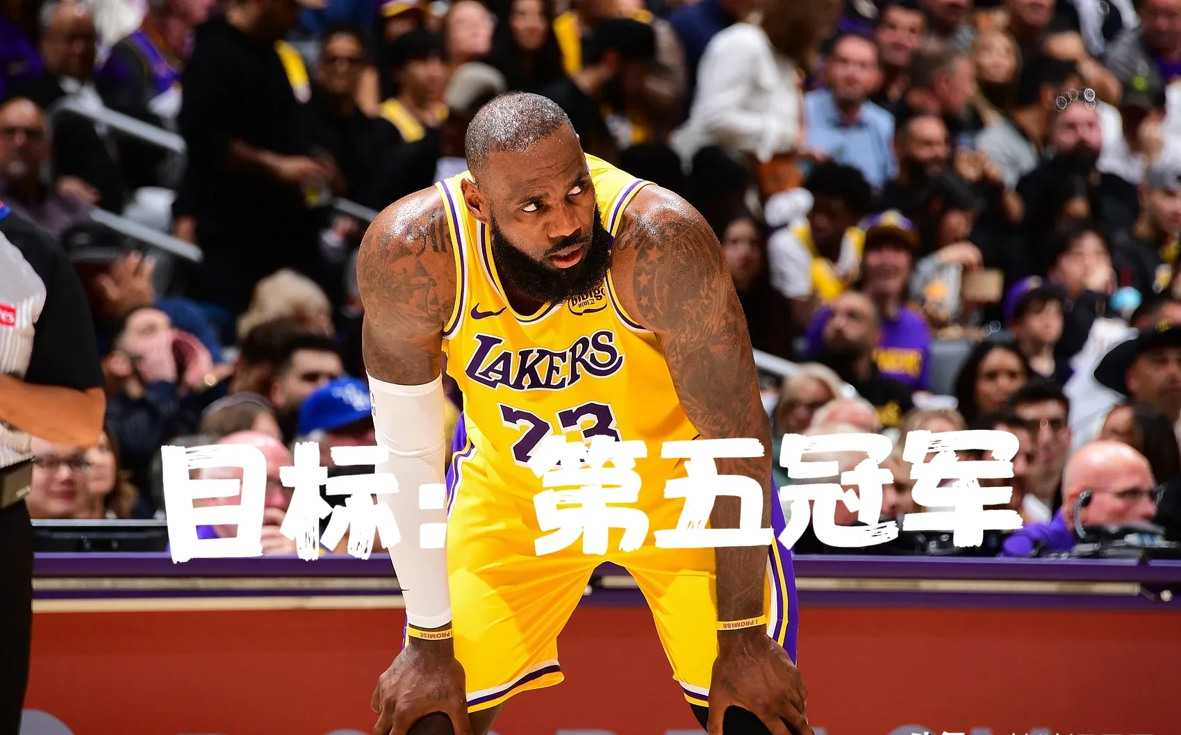 开云平台-火箭击败湖人，詹姆斯表现神勇