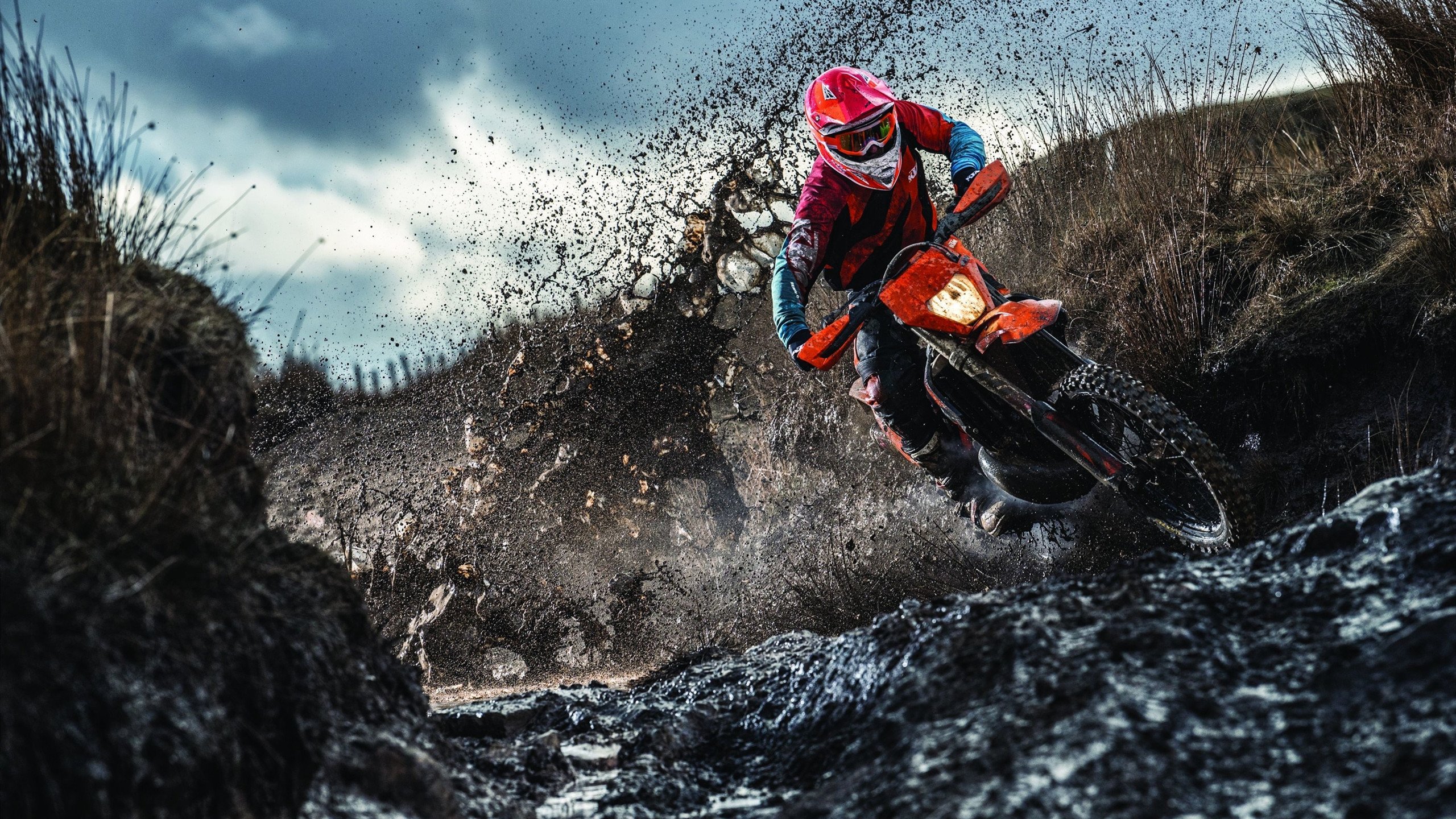 开云体育中国-天神下凡!杰伦格林生涯之夜轰塌标靶中心,公牛碾碎森林狼迎六连胜